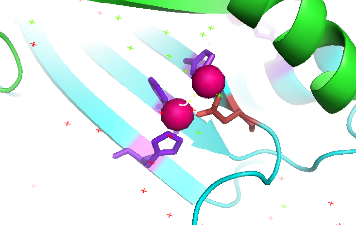 Image:Binding site C 1.png