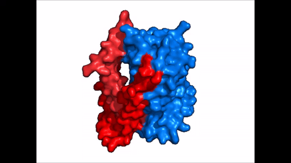 Image:Surface_NTCP_confchange.gif‎