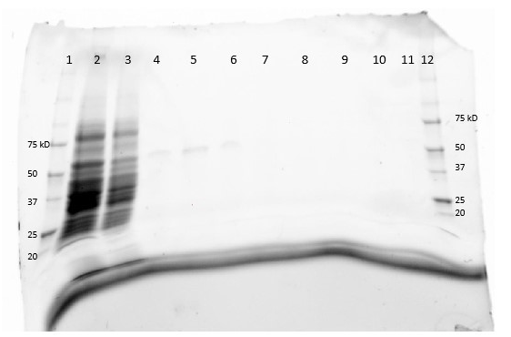 Image:P30646SDSPage.png