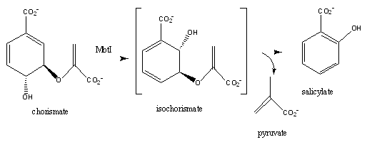 Image:Salicylate synthase chem draw.png