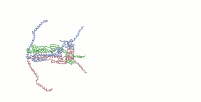 Image:Swimmers.gif