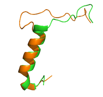 Image:Calcitonin Amylin Overlay.png