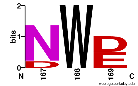 Image:Conserved W168 in Hrp1.png