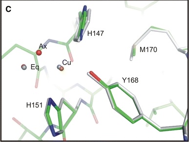 Image:CuII coordination complex.jpg