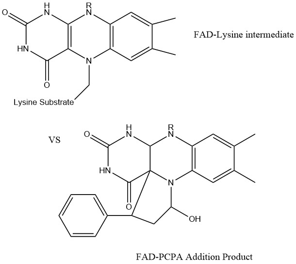 Image:FAD-PCPA.jpg