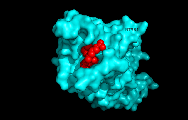 Image:Surfaceprotein.png