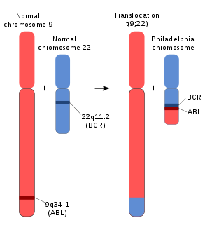 Image:schema.png