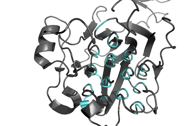 Image:Ray Traced GlyR Image.png