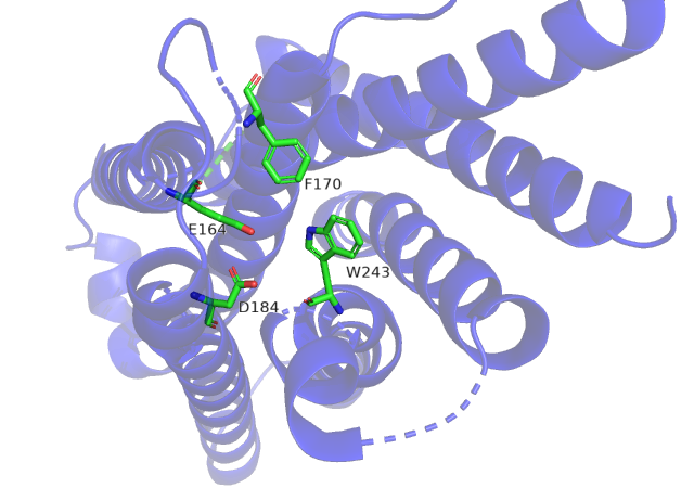 Image:Binding residues.png