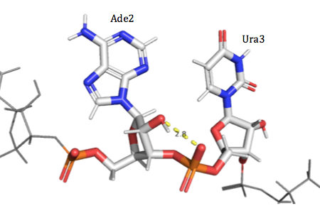 Image:Ade2-Ura3 H-Bonding.png