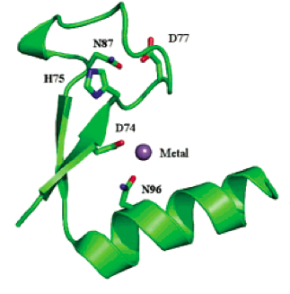 Image:HNH domain of colE9 17516660.png