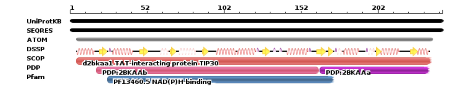Image 5. The binding sites of TIP30 as identified using PYMOL.