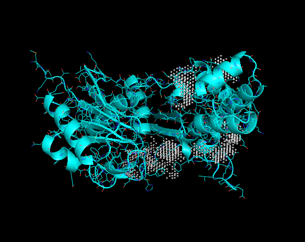 Image:Docking site Q8DN35.png