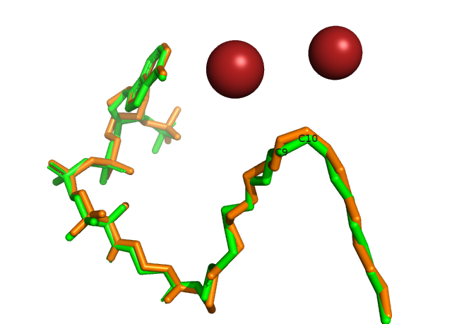 Image:Acetyl CoA comparision.png