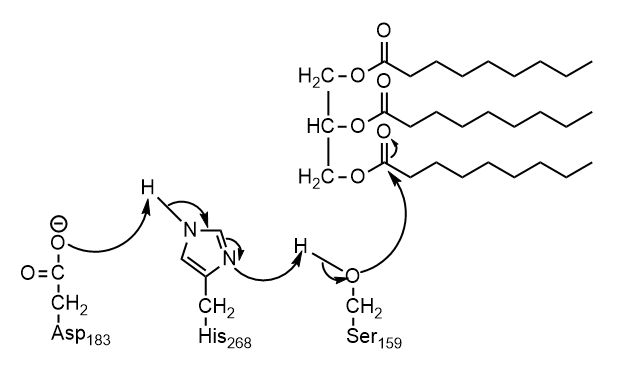 Image:Image 2021-03-16 095606.png