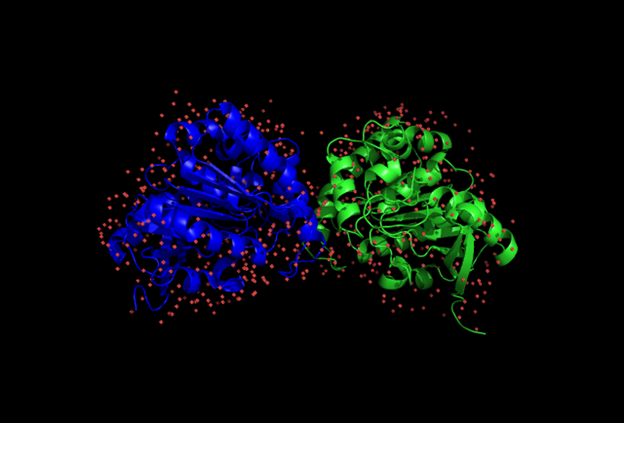 Image:Two subunits.png