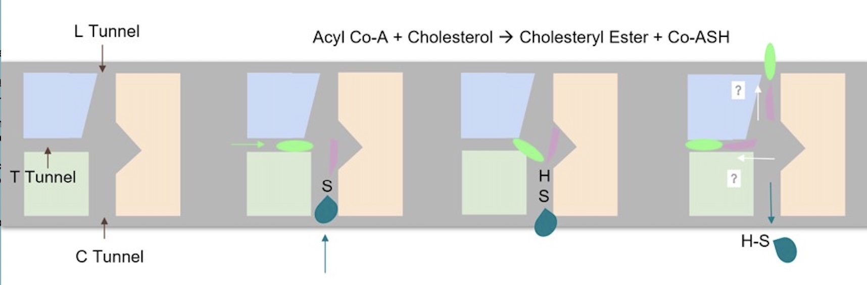 Image:schematic.jpg