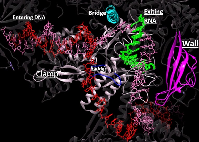 Image:Screenshot (2).jpg