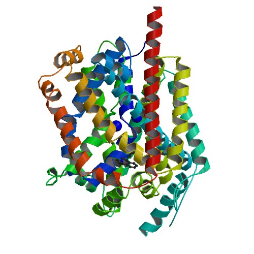 Image:3gwu Static.jpg