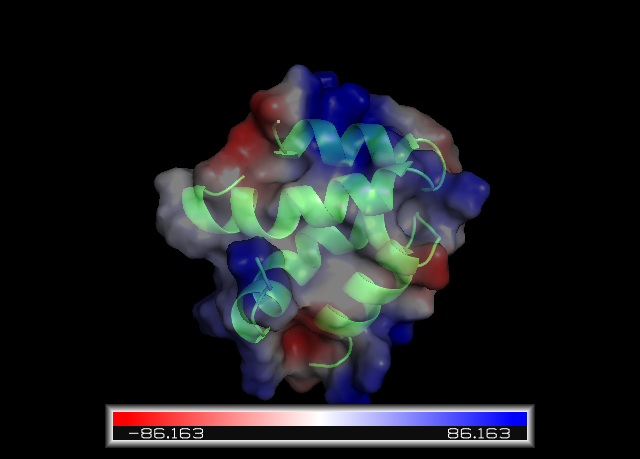 Image:protein polar.png