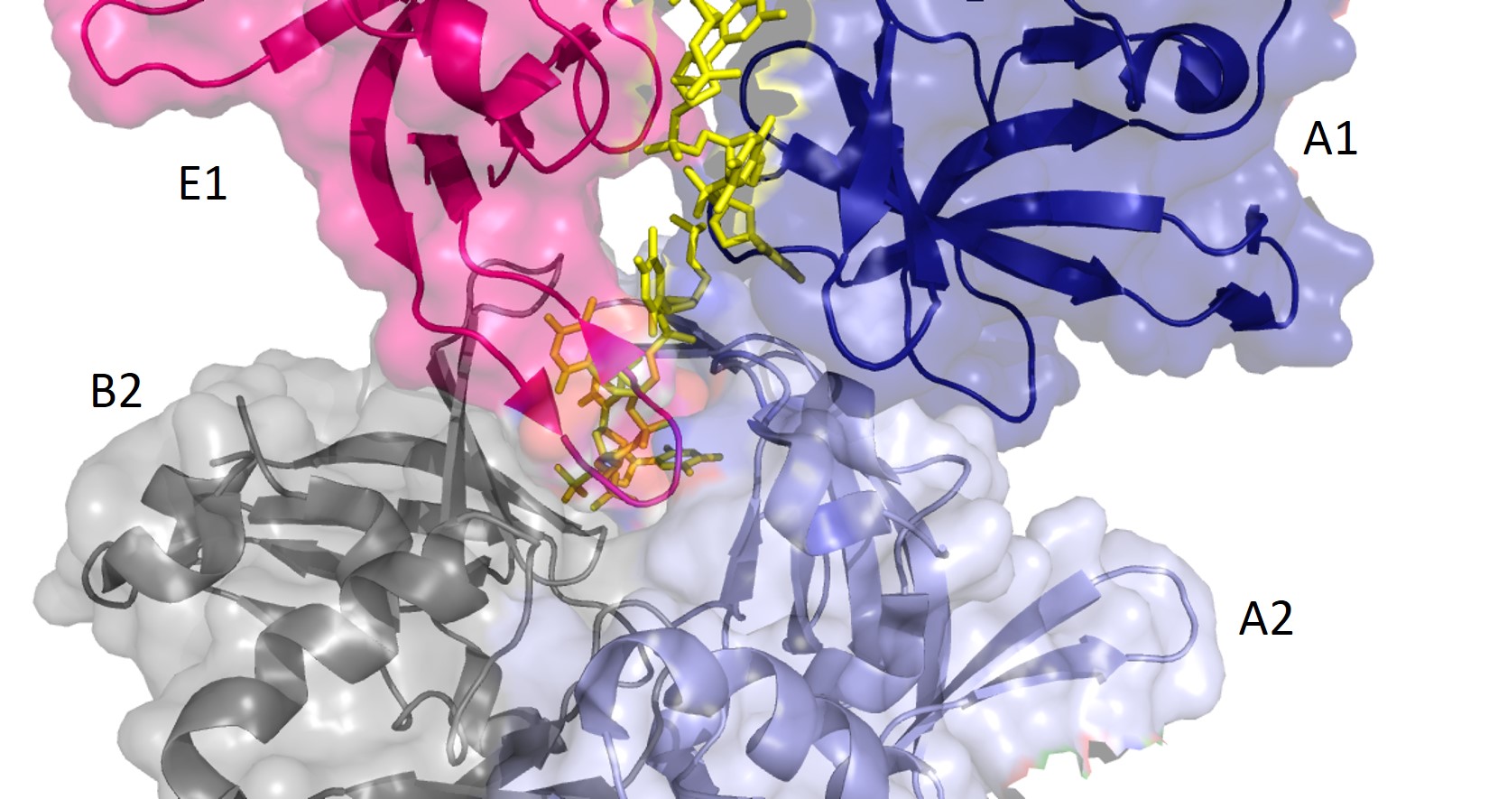 Image:DNA channel.jpg