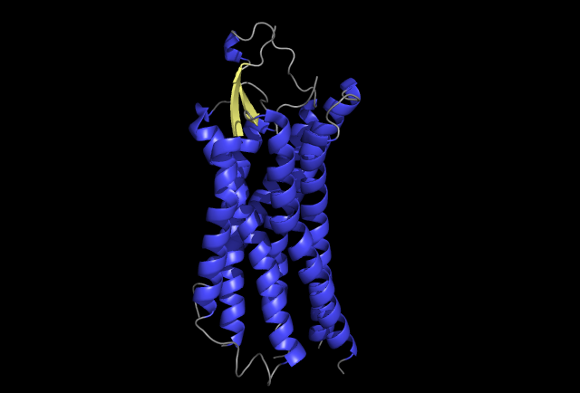 Image:Protein_-lysozyme.png