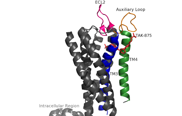 Image:HGPR40 labeled.png