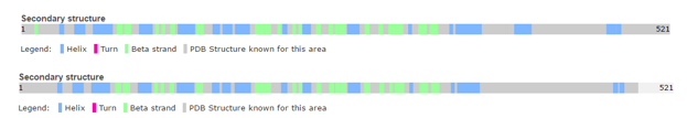 Structure of human calcineurin (up) and rat calcineurin (down)
