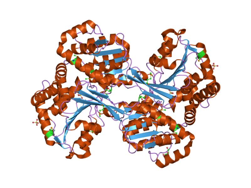 Image:PDB 1k75 EBI.jpg