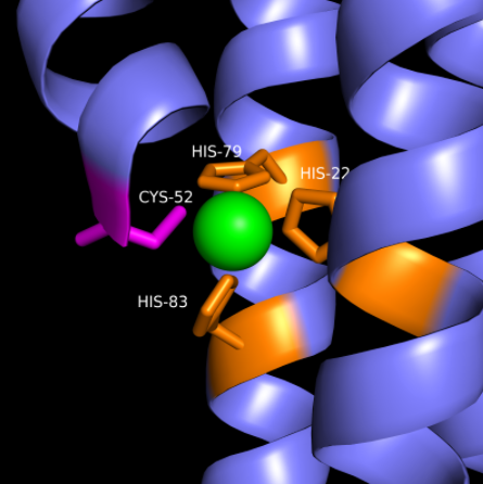 Image:Zn_Binding_Site_DgcZ.png