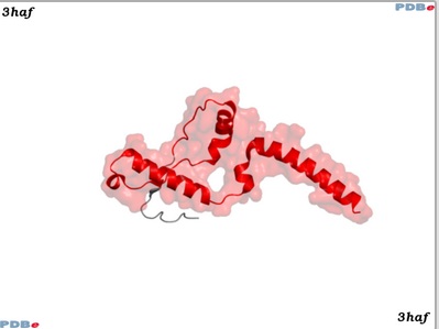 3HAF Domain
