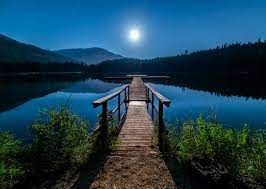 Image:Beuatiful picture NN.jpg