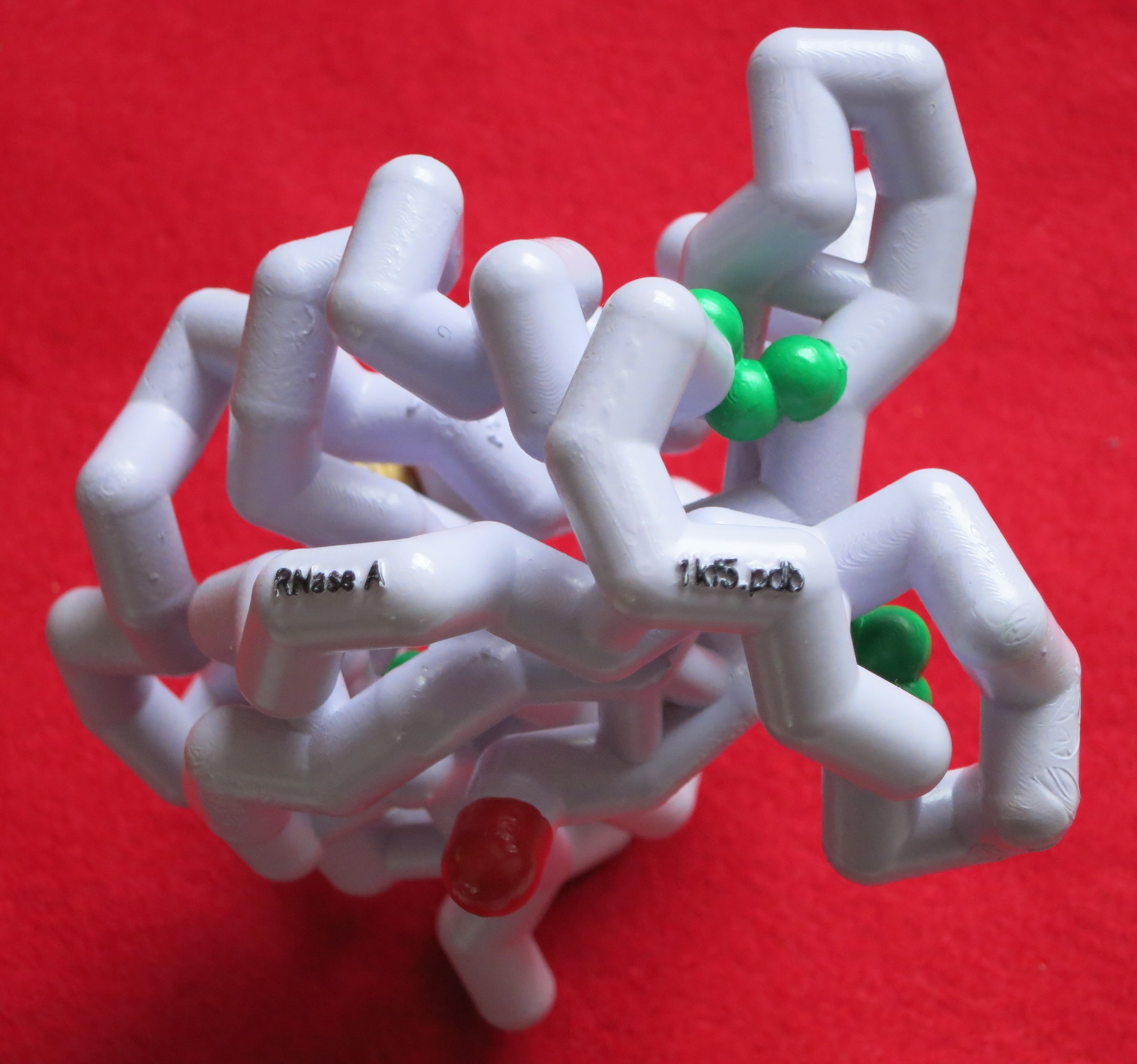 Image:RNAseA model.jpg