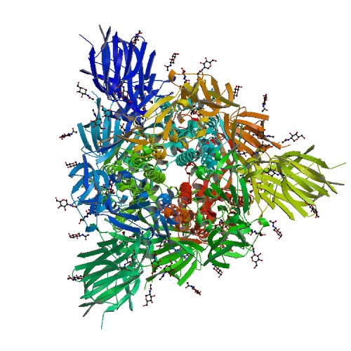 Image:S protein.jpg
