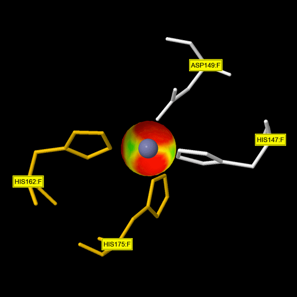 Image:ZN pocket interaction.gif
