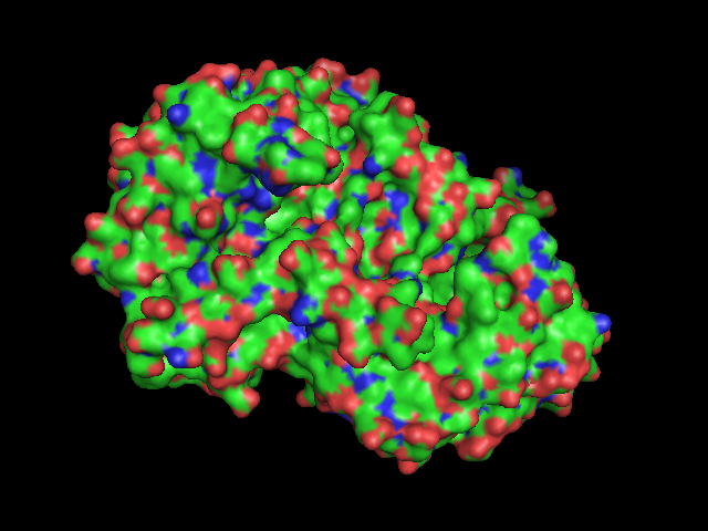 Image:1HLPfromPymol0001.png