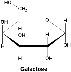 Image:Galactocse.GIF