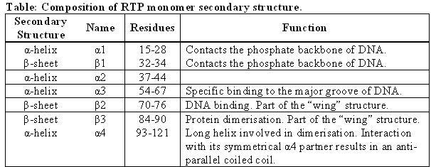 Image:RTP secondary structure.jpg