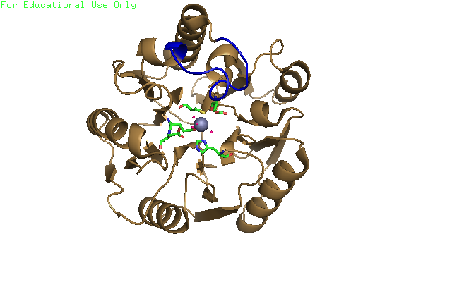 Image:2CI6 with Zn2+ bound.png