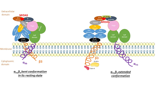 Image:Activation1.png