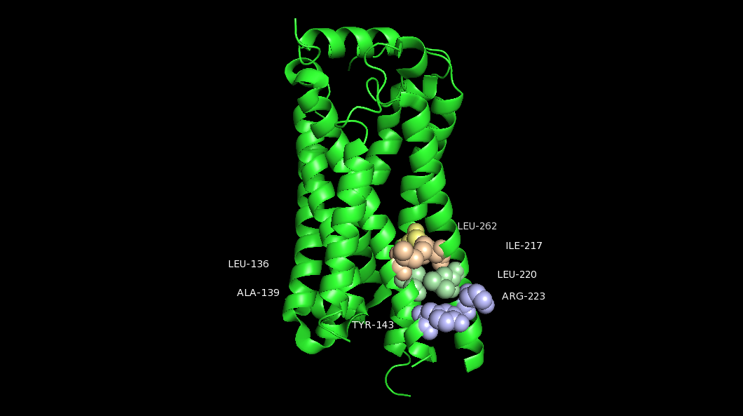 Image:Cluster 4.png