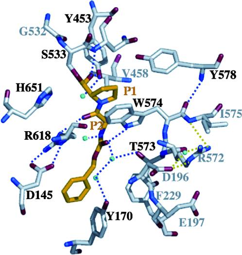 Image:Proteopedia article image 3.jpg