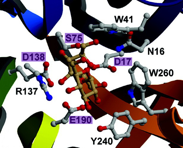 Image:Catalytic-site.jpg