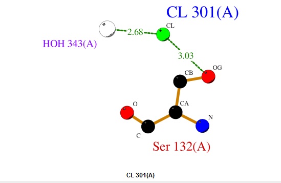 Image:Ligand cl.jpg