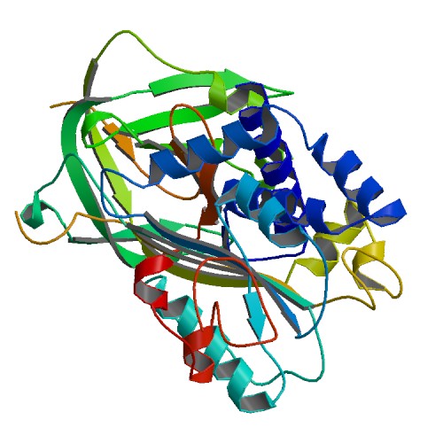 PAI-1 in complex with the SMB domain of vitronectin