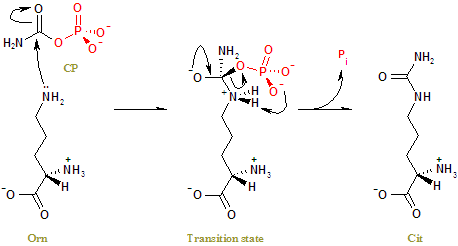 Image:OTC_reaction.png