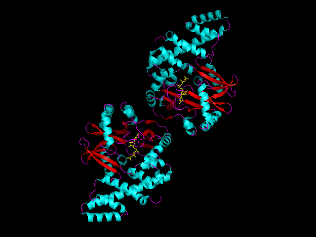 Image:Overall structure of T4 RNA ligase.png