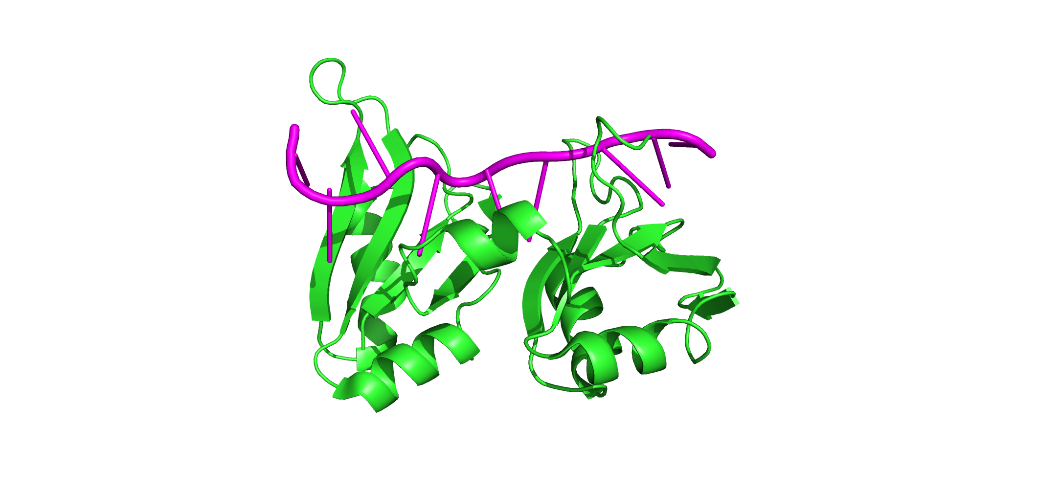 Image:Whole Protein.png