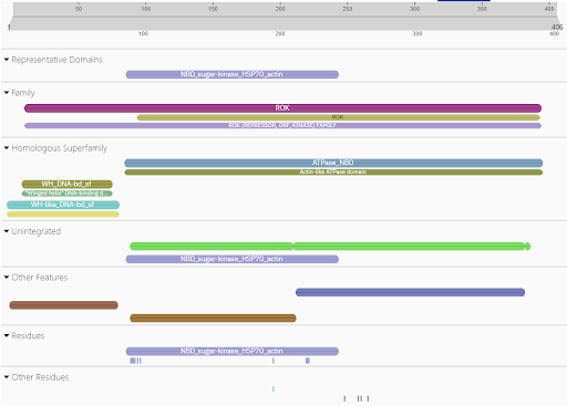 Image:UniProt50456.png