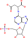 Adenylosuccinate